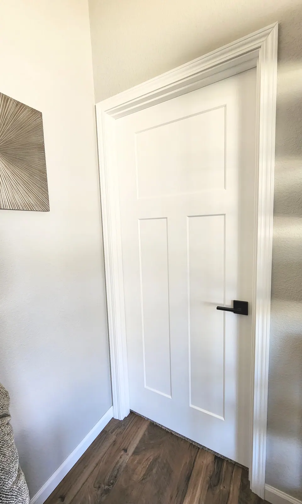 White interior door with modern black handle